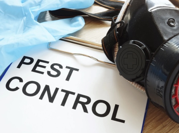 Mastering Pest Control SEO in the Digital Jungle